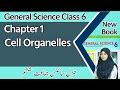 Class 6 Science Chapter 1 Cell Organelles 6th Class General Science Chapter 1