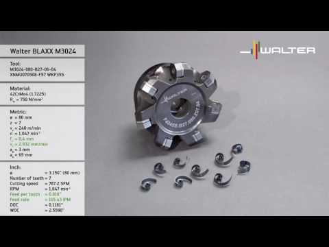 Walter Tools Milling (BLAXX) Heptagon milling cutter M3024 1