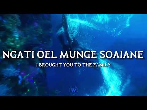 The Songcord [Zoe Saldaña] - Lyrics with English translation