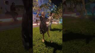 Download lagu tike rum sange sodha nei khatiki viral#dance mp3 Download lagu tike rum sange sodha nei khatiki viral#dance mp3