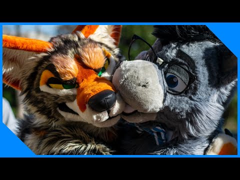 Texas Furry Fiesta 2022 Opening Trailer – Furry Times