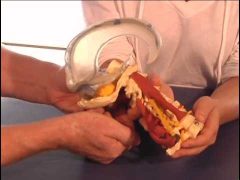 Cranial 2 Protocol - Sample Video