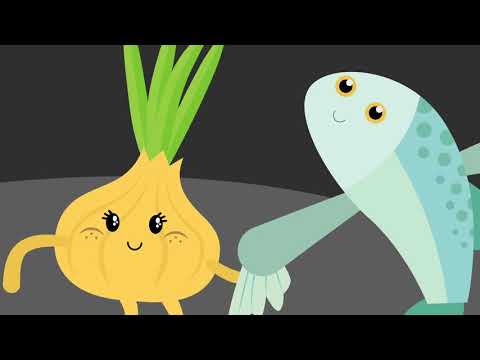 Jarzynki i przyjaciele feat. Joanna Kołaczkowska - CEBULA CELESTYNA