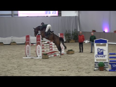 Tornado SH OLD v. Toulon - Diamant de Semilly, OS, Hengst, * 2019