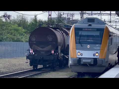 Trains At Halmstad Sweden | Tåg I Halmstad