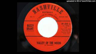 Buzzy Brant - Valley Of The Moon (Nashville 5043)