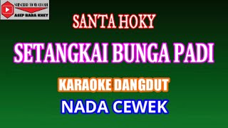 Download lagu KARAOKE DANGDUT SETANGKAI BUNGA PADI - SANTA HOKY (COVER) NADA CEWEK mp3 Download lagu KARAOKE DANGDUT SETANGKAI BUNGA PADI - SANTA HOKY (COVER) NADA CEWEK mp3