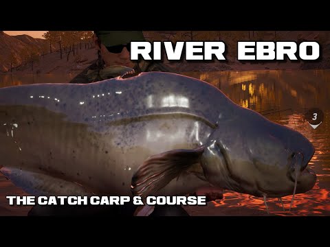 The Catch Carp & Course | River Ebro How To Catch Your First Wels Catfish