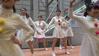 登美丘高校ダンス部　Merry × Merry Xmas★ - E-girls　　[Pure 4k]