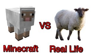 Minecraft vs Real Life: Part 3 - Sheep Scream | IOS &amp; Android Gameplay.