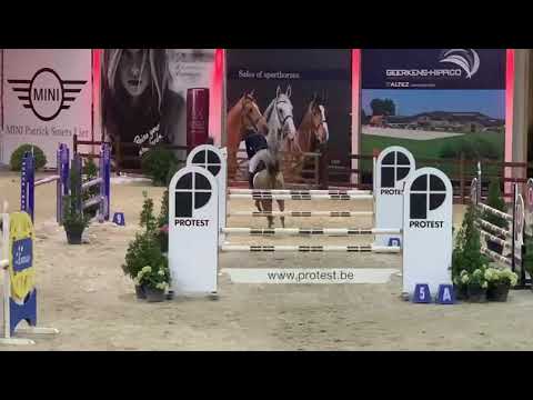 Kallmar VDL and Jur Vrieling 1.10m at Lier on Friday.
