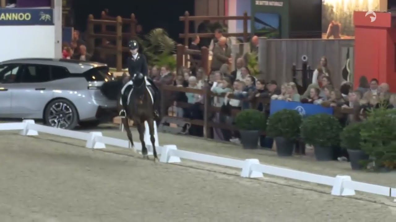 Gold Cup Final Allegro Freestyle Mechelen