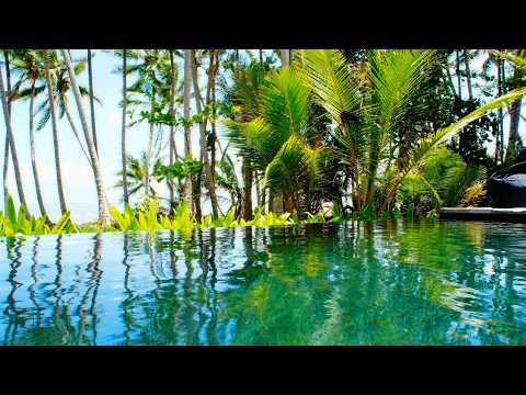 13 Marine Parade, Newell, QLD 4873, 4 chambres, 3 salles de bain, House