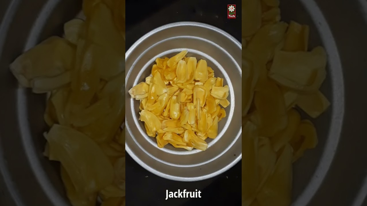 Oddly satisfying JACKFRUIT #shorts