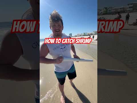 How to catch shrimp on the beach #fishing #alabama #gulfshores #gulfshoresalabama #gulfofamerica
