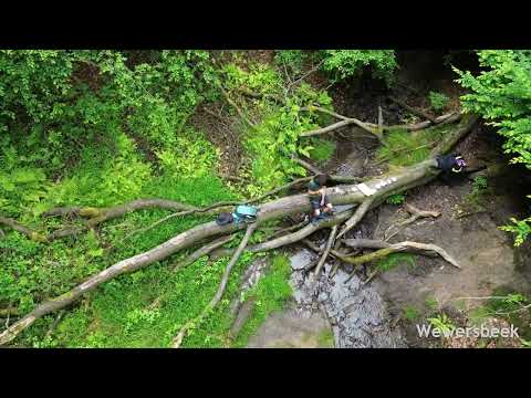 Wanderung Deilbachsteig - wandern im Ruhrgebiet