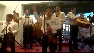 Mariachi Los Galleros de Tijuana  "La Bikina"