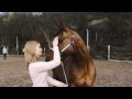 You belong to the wild [Jacky, Pointer, Jackman ...