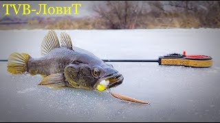 Ловля ротанов по первому льду