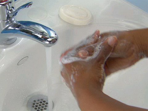 清潔な手でインフルエンザを防ぐ (Clean Hands Help Prevent the Flu)
