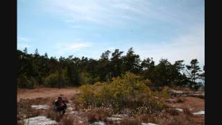 Jill Johnson - Jolene