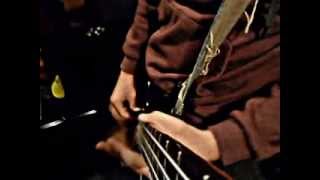 Mudhoney-I Like It Small (Bass Cover)