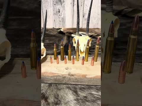 Barnes Bullets- Best for the Tiny Ten!