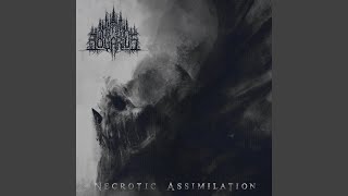 Beyond the Last Gate