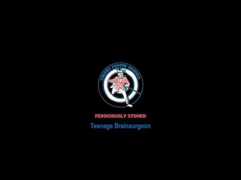 Teenage Brainsurgeon cover
