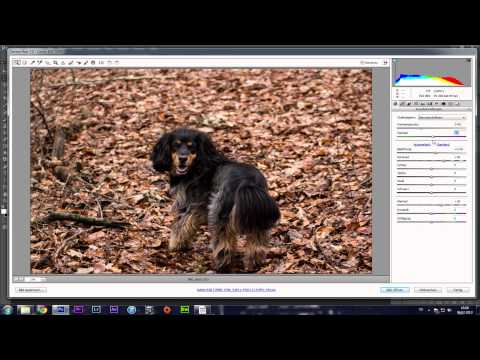 Adobe Photoshop CS6 Grundlagen - Camera RAW (German/Deutsch) [HD]