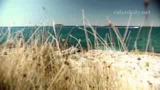 Peaceful, Soothing Background Music Instrumental - relaxdaily N°052 (flow)
