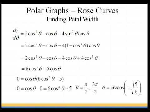 Rose Curve - Petal Width