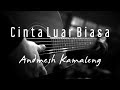 Andmesh Kamaleng - Cinta Luar Biasa ( Acoustic Karaoke )