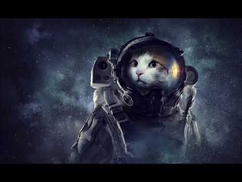 Pixel Vs Space Cat - Clear Test Signal (Live Mix)
