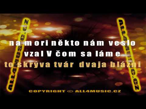 KJ0070 DUET ŽBIRKA A MARTHA-Čo bolí to prebolí (Karaoke verze)