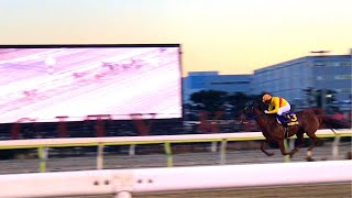 【結果速報】2017 G1 東京大賞典 コパノリッキー G1最多11勝新記録 ダート2000m 大井競馬場 現地映像