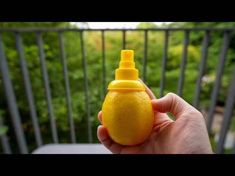 Testing 10 Weird Japanese Food Gadgets