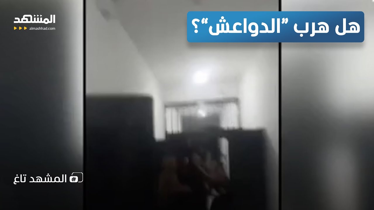 "كارثة" سجن الشدادي.. فيديوهات توثق خروج المحتجزين من سجون "قسد" – المشهد تاغ