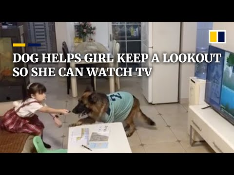 It Always Helps To Have a Partner in Crime – Like This Dog