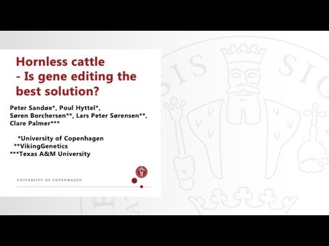 , title : 'Hornless Cattle - is Gene Editing the Best Solution?