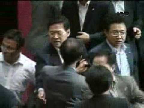Korean Parliament Fight 22 July 2009