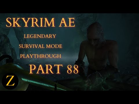 Skyrim Anniversary Edition / Legendary Difficulty Survival Mode Part 88 - Me And My Skeever Friends