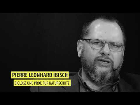 Video-Thumbnail von YouTube