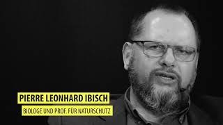 Video-Thumbnail von YouTube