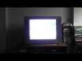 Opening To Little Bear Parties And Picnics VHS