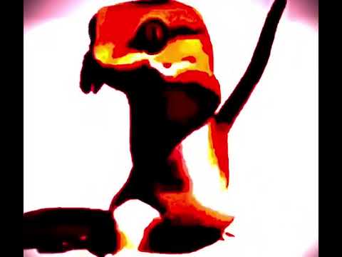 frog dances to tribal flute song