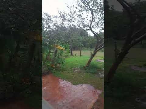 Vaqueria caaguazu
