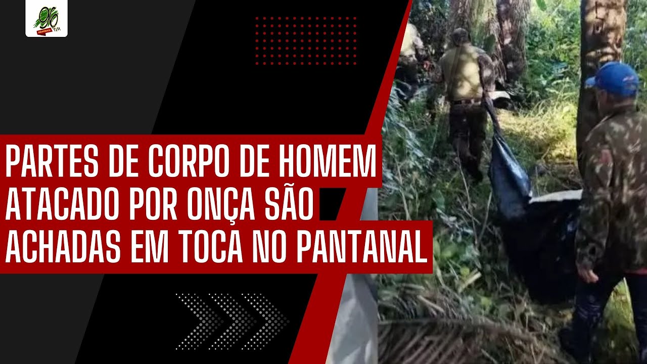PARTES DE CORPO DE HOMEM ATACADO POR ONÇA SÃO ACHADAS EM TOCA NO PANTANAL