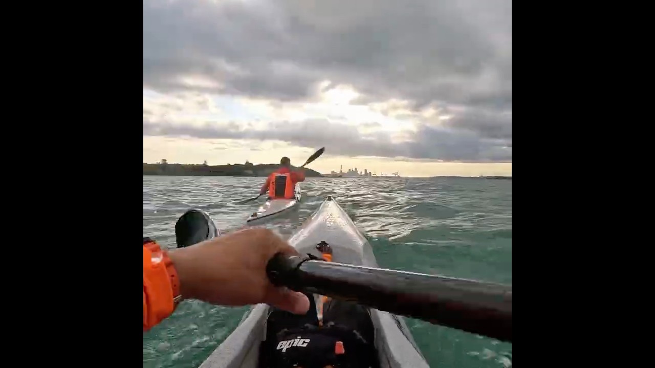 Late afternoon paddle #surfski #paddlers #kayaking #newzealand