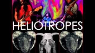 Heliotropes - Early In The Morning